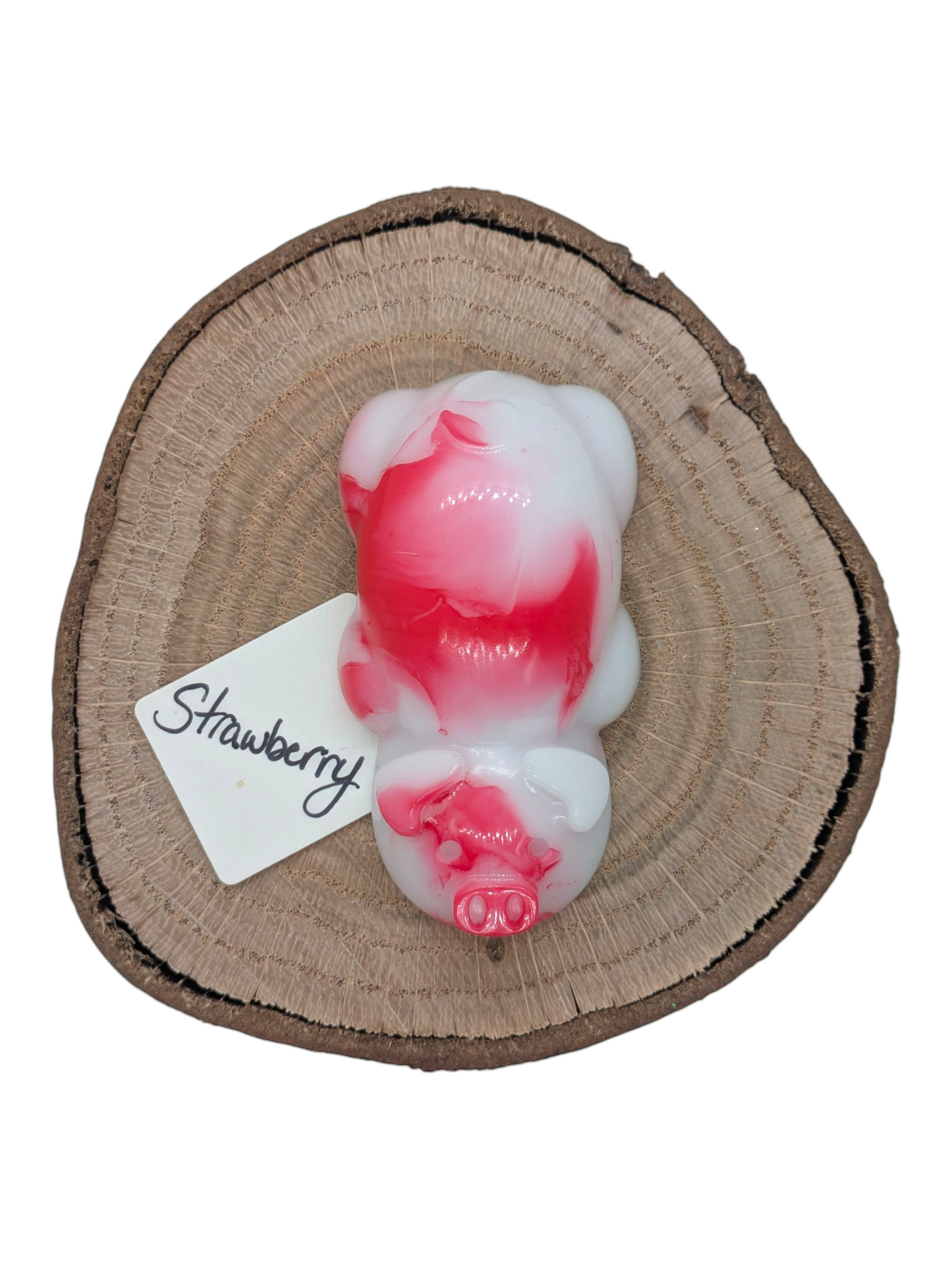 Resin Fruit Piggies